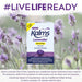 Kalms Lavender 14 Capsules - Stress Relief at MySupplementShop by Kalms