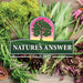 Natures Answer Perio Cleanse Oral Concentrate 120ml