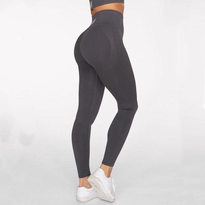 Gavelo Seamless Booster Leggings- Gun Metal - Medium - Leggings at MySupplementShop by Gavelo