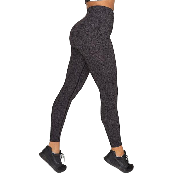 Gavelo Seamless Ribbed Leggings - Plum