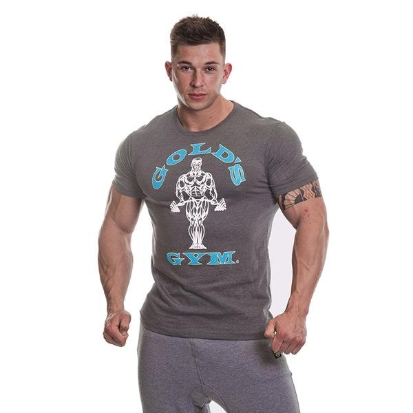 Golds Gym Muscle Joe T-Shirt - Grey/Turquoise