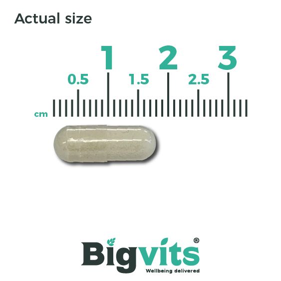 Healthy Origins Probiotic 30 Billion CFUs 60 Veg Capsules | Premium Supplements at MYSUPPLEMENTSHOP