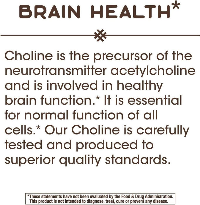 Nature's Way Choline 500mg 100 Vegan Tablets | Premium Supplements at MYSUPPLEMENTSHOP