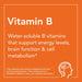 NOW Foods Vitamin B-50 mg 250 Tablets | Premium Supplements at MYSUPPLEMENTSHOP